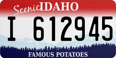 ID license plate I612945