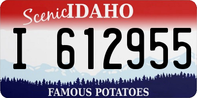 ID license plate I612955