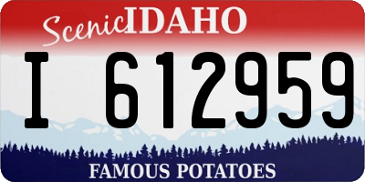 ID license plate I612959