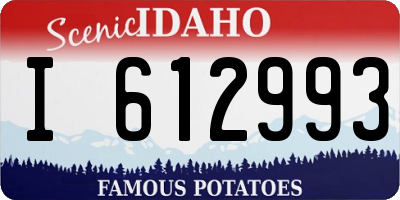 ID license plate I612993