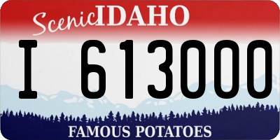 ID license plate I613000