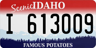 ID license plate I613009