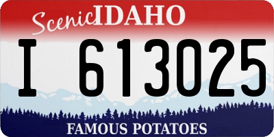 ID license plate I613025