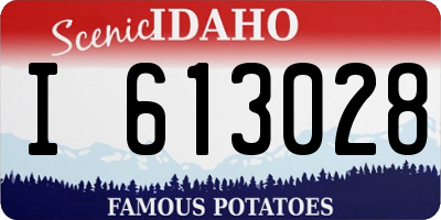 ID license plate I613028