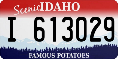 ID license plate I613029