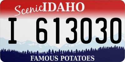 ID license plate I613030