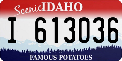 ID license plate I613036