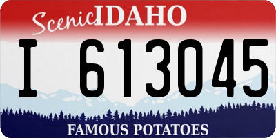 ID license plate I613045
