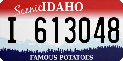 ID license plate I613048