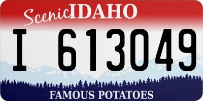 ID license plate I613049