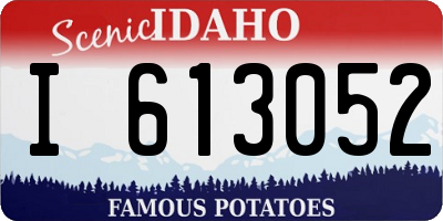 ID license plate I613052