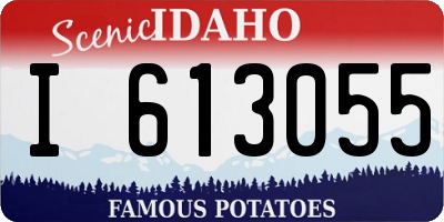 ID license plate I613055