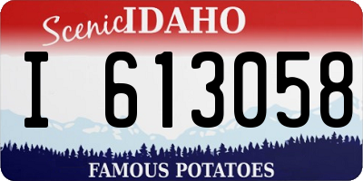 ID license plate I613058