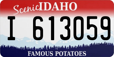 ID license plate I613059