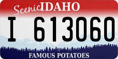 ID license plate I613060