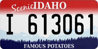 ID license plate I613061