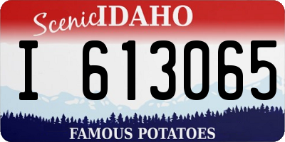 ID license plate I613065