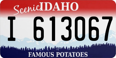 ID license plate I613067