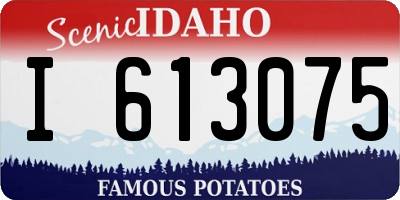 ID license plate I613075