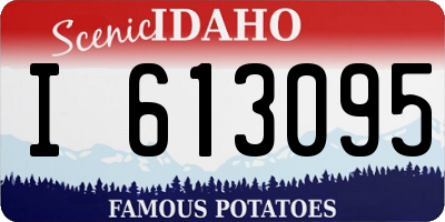ID license plate I613095