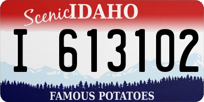 ID license plate I613102