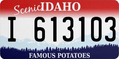 ID license plate I613103