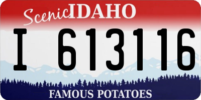 ID license plate I613116