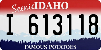 ID license plate I613118
