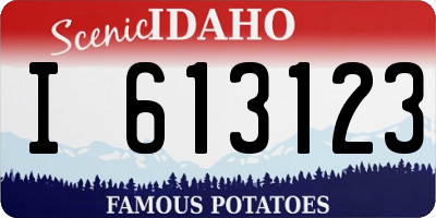 ID license plate I613123