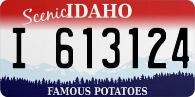ID license plate I613124