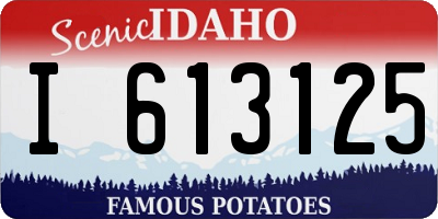 ID license plate I613125