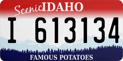 ID license plate I613134