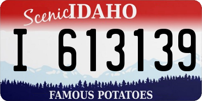 ID license plate I613139