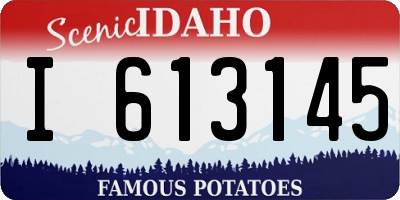 ID license plate I613145
