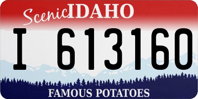 ID license plate I613160