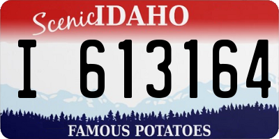 ID license plate I613164