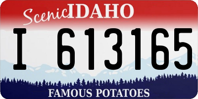 ID license plate I613165
