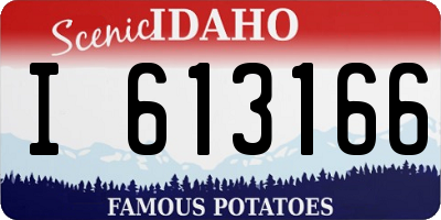 ID license plate I613166