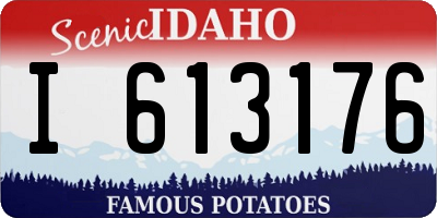 ID license plate I613176