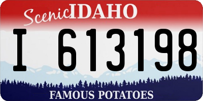 ID license plate I613198