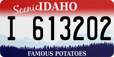ID license plate I613202
