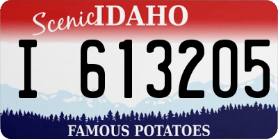 ID license plate I613205