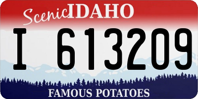 ID license plate I613209