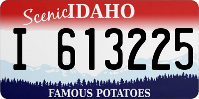 ID license plate I613225
