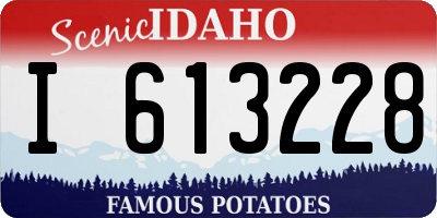 ID license plate I613228