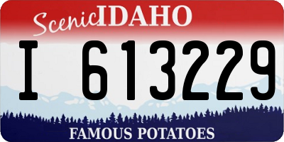 ID license plate I613229