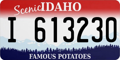 ID license plate I613230