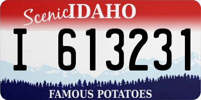 ID license plate I613231