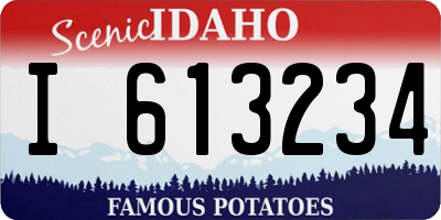ID license plate I613234