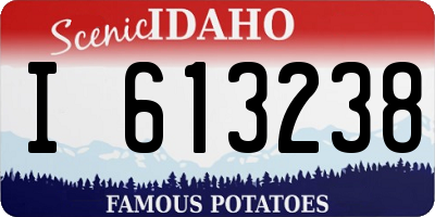 ID license plate I613238